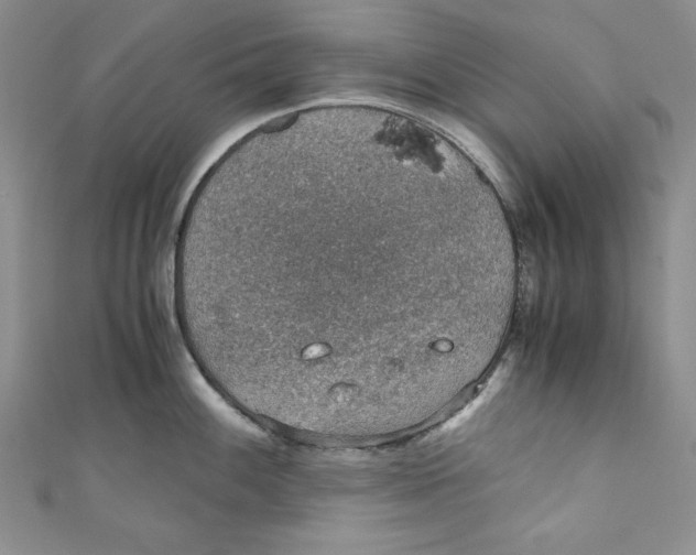 X0000110891100200907091349