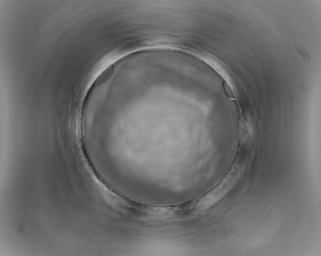 X0000110891101200907091349