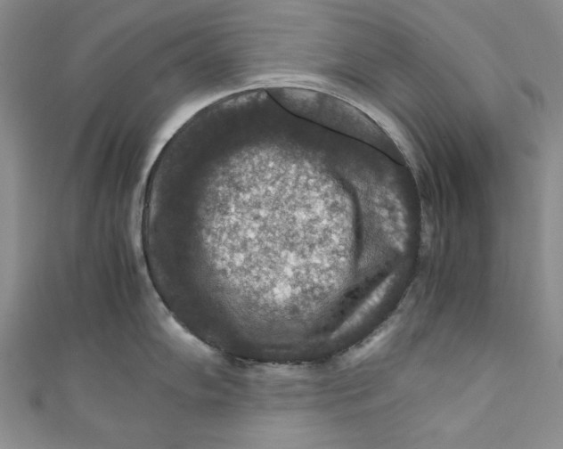 X0000110891102200907091349