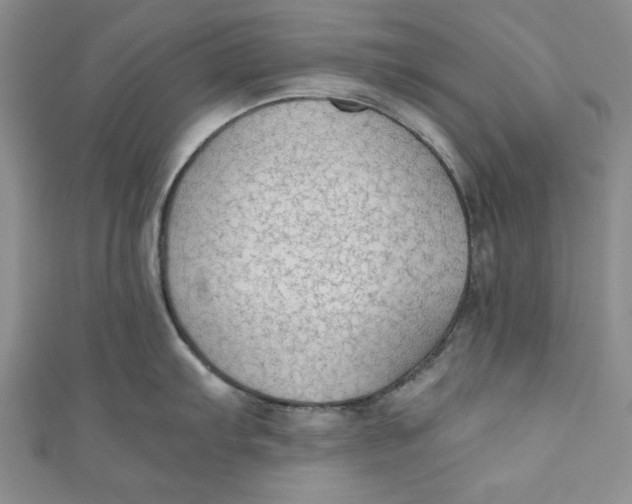 X0000110891103200907091348