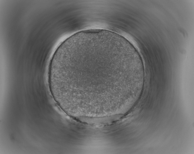 X0000110891104200907091348