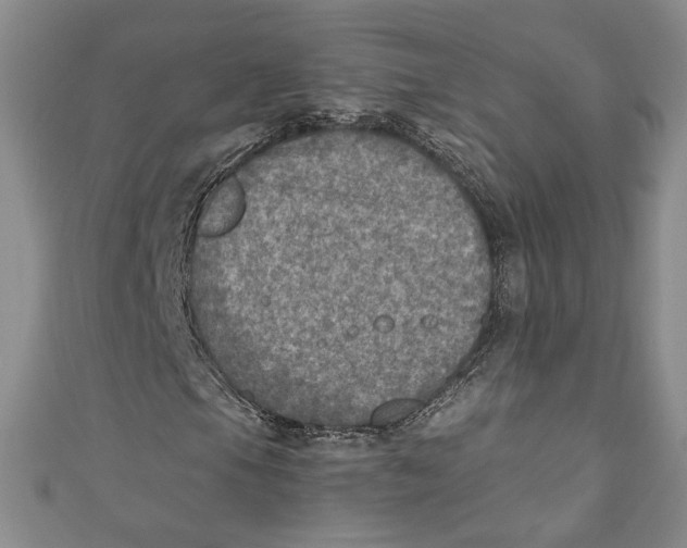 X0000110891105200907091348