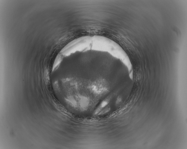 X0000110891106200907091348