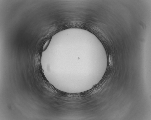 X0000110891107200907091348