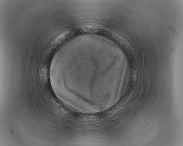 X0000110891108200907091348