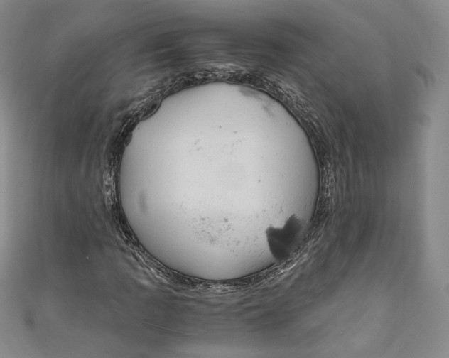 X0000110891109200907091348