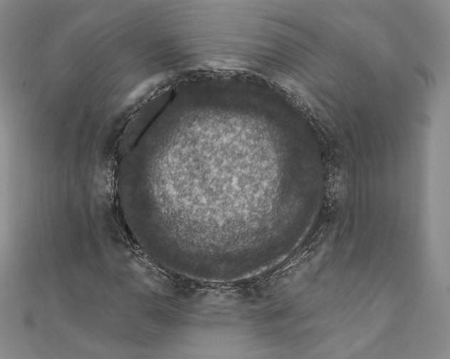 X0000110891110200907091348