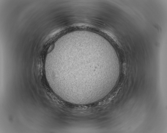 X0000110891111200907091348