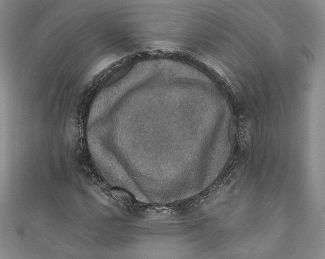 X0000110891112200907091348