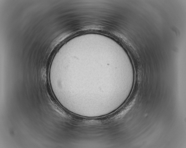 X0000110891113200907091348