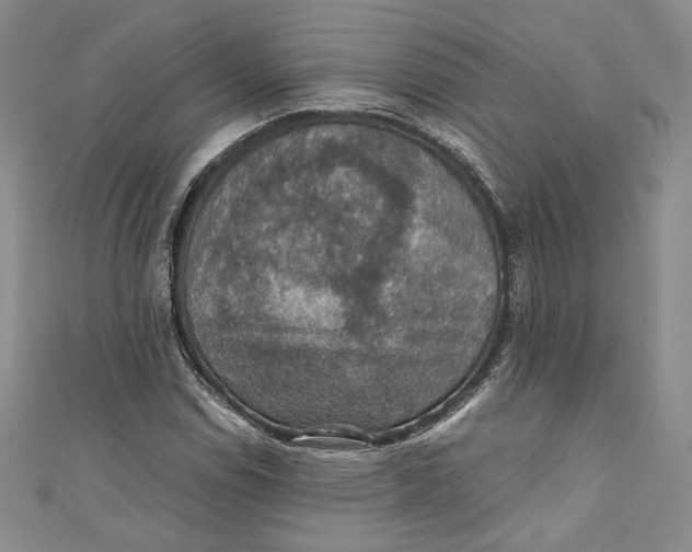 X0000110891114200907091348