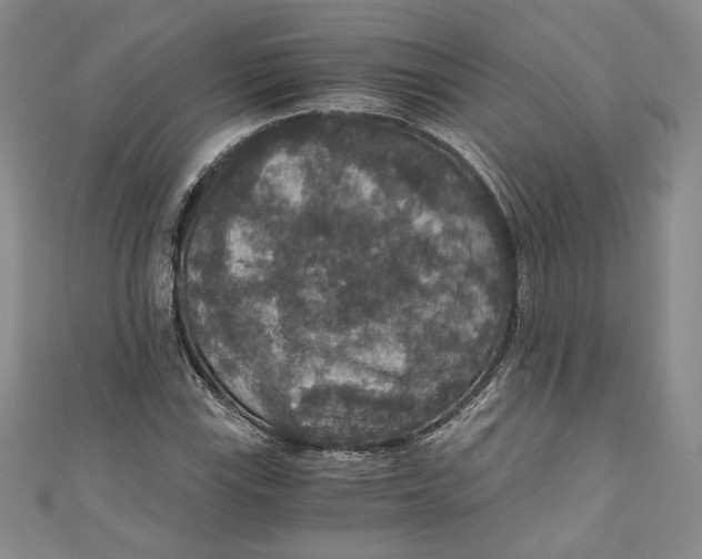 X0000110891115200907091348