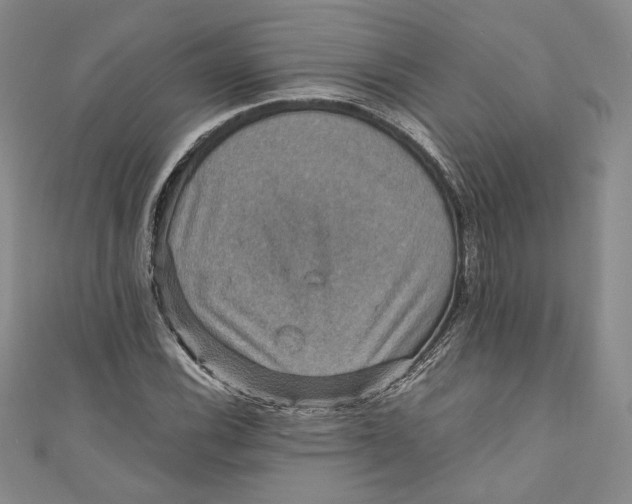 X0000110891116200907091348