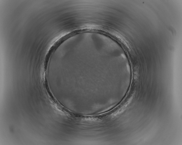 X0000110891117200907091348