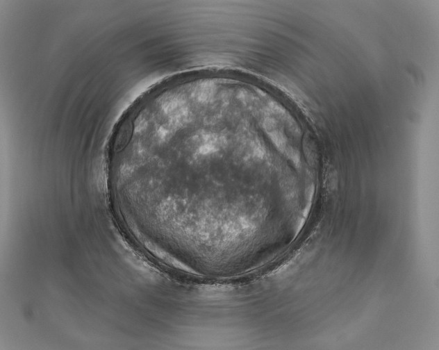 X0000110891118200907091348