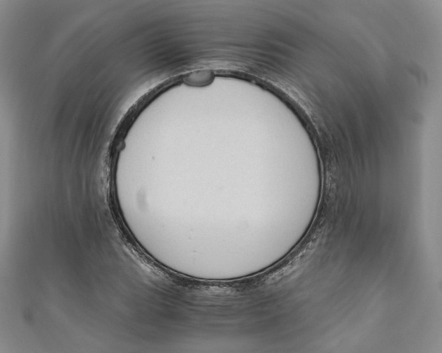 X0000110891119200907091348