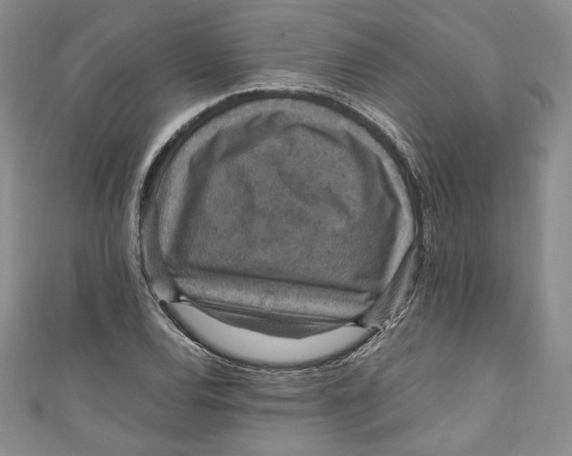 X0000110891120200907091348