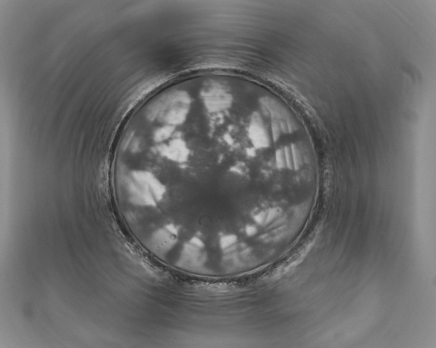 X0000110891121200907091348