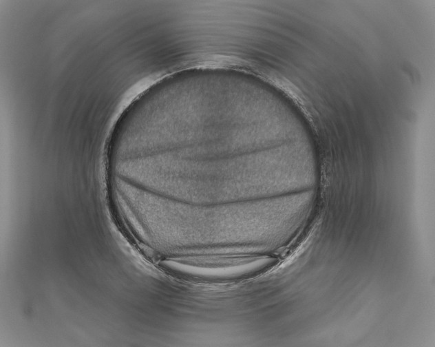 X0000110891122200907091348