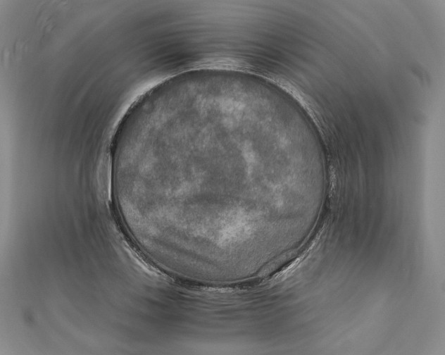 X0000110891123200907091348