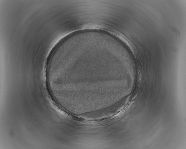 X0000110891124200907091348