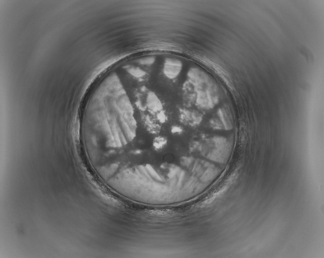 X0000110891125200907091348