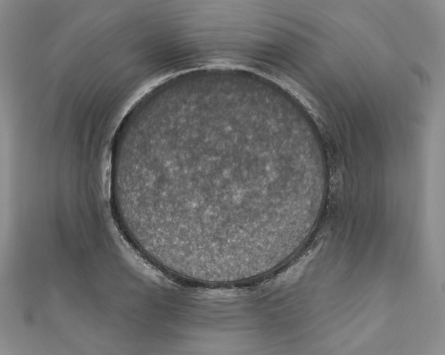 X0000110891126200907091348