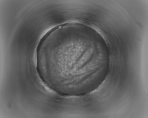 X0000110891127200907091348