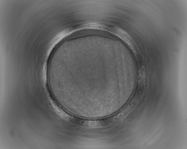 X0000110891128200907091348