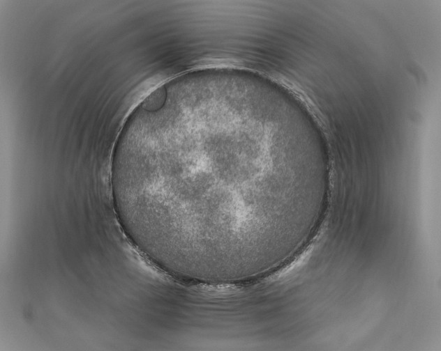 X0000110891129200907091348