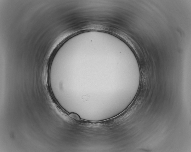 X0000110891131200907091348