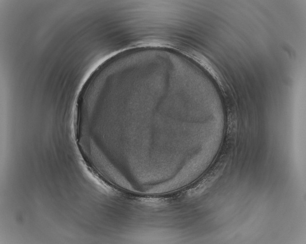 X0000110891132200907091348