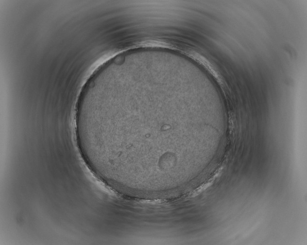 X0000110891133200907091348