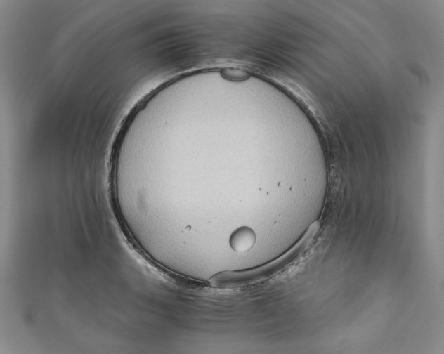 X0000110891135200907091348