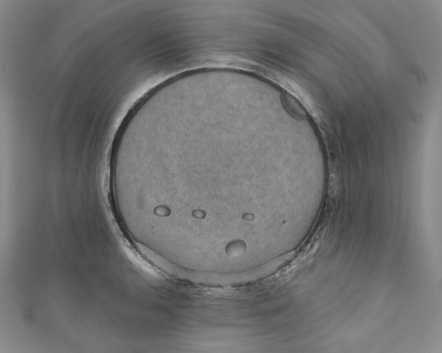 X0000110891136200907091348