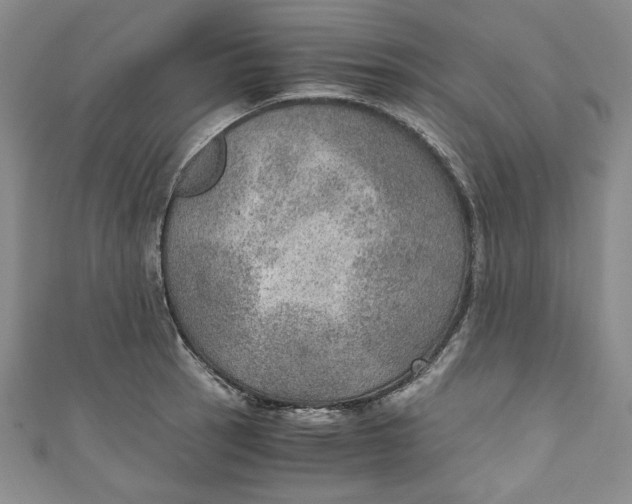 X0000110891137200907091348