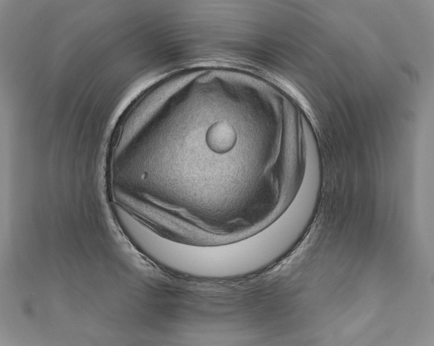 X0000110891138200907091348