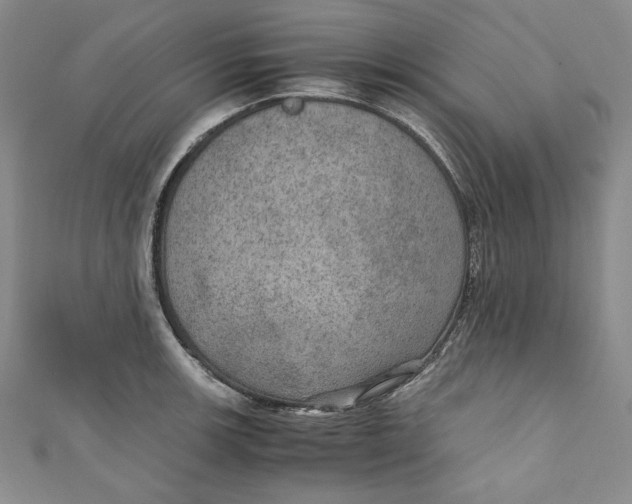 X0000110891139200907091348