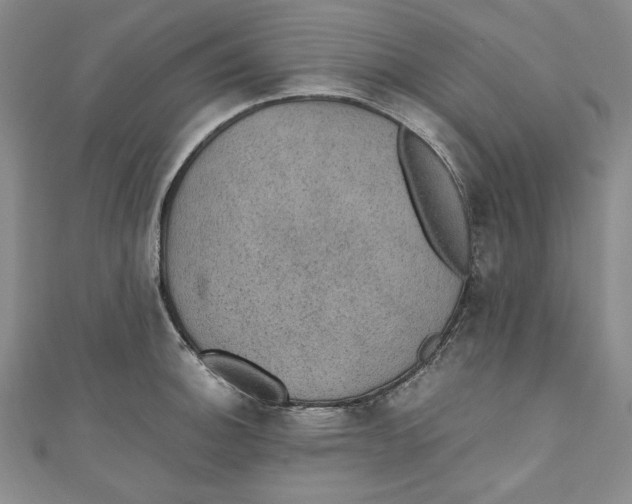 X0000110891140200907091348