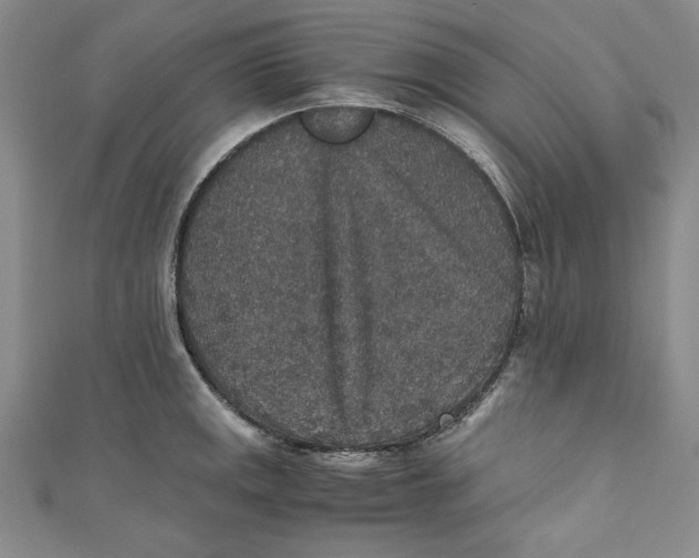 X0000110891141200907091348