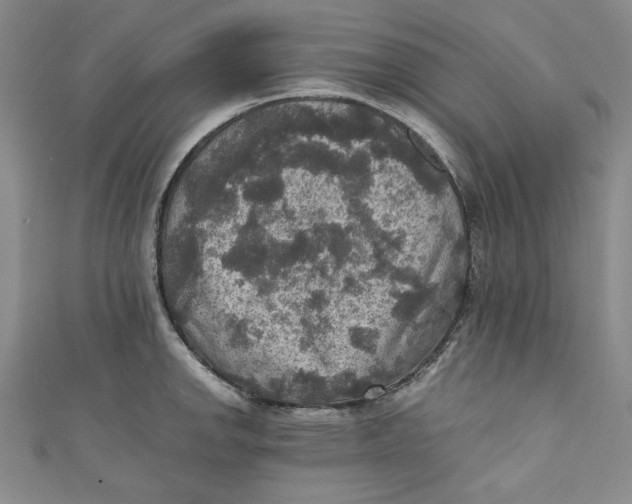 X0000110891142200907091348