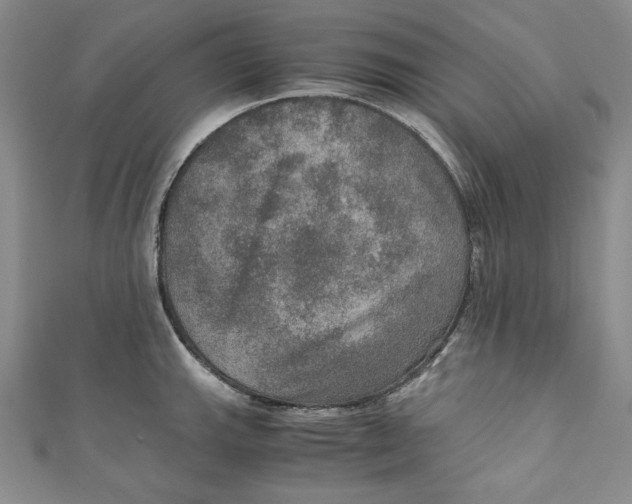 X0000110891143200907091348