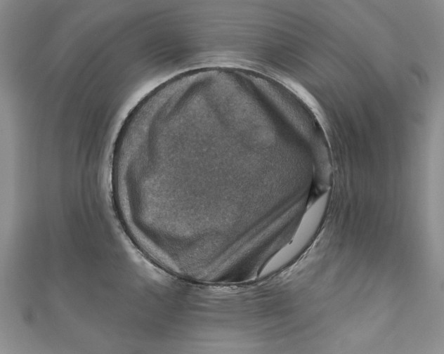 X0000110891144200907091348