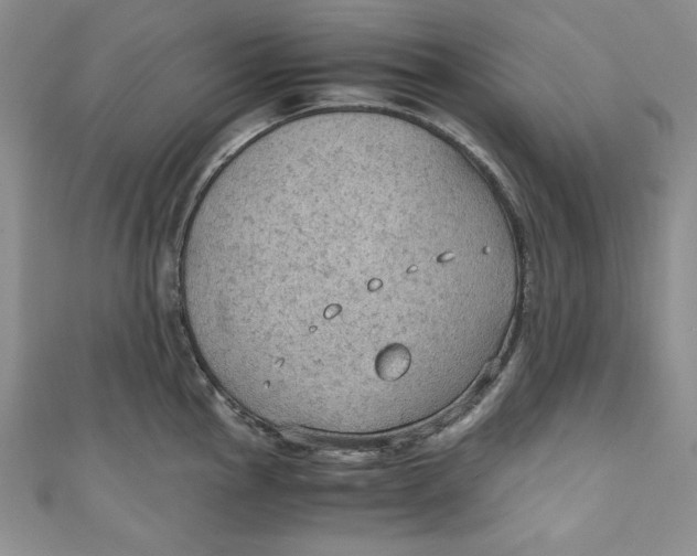 X0000110891145200907091348