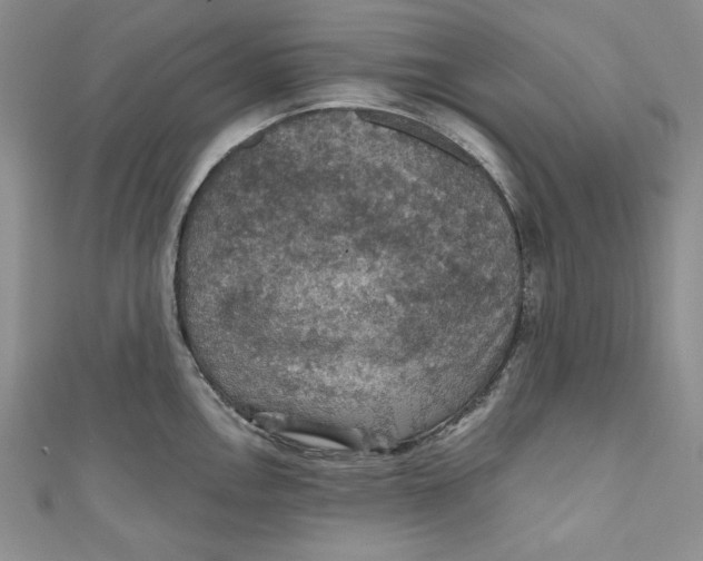 X0000110891146200907091348