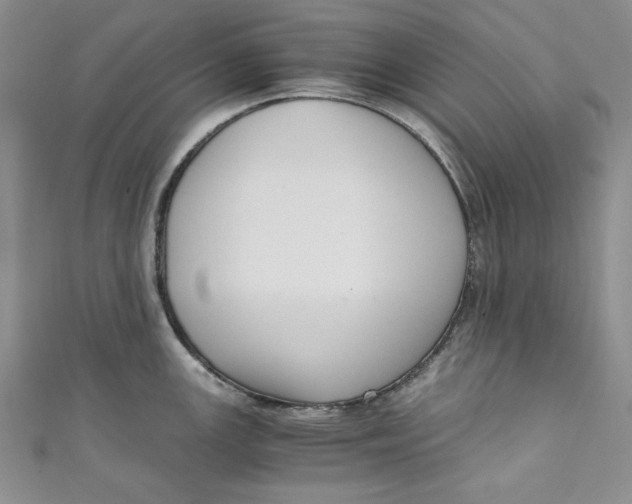 X0000110891147200907091348