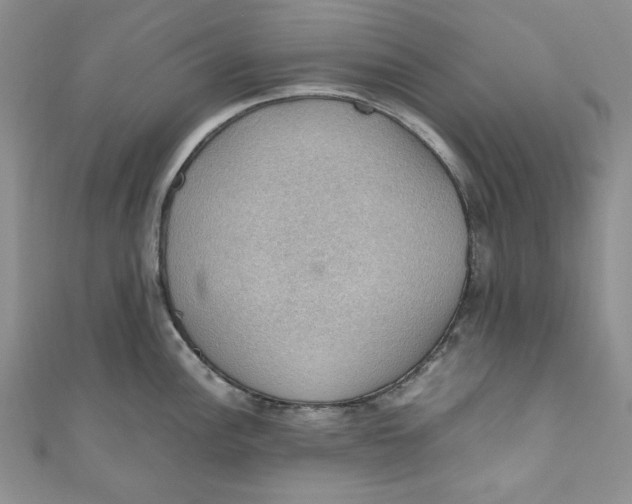 X0000110891148200907091348