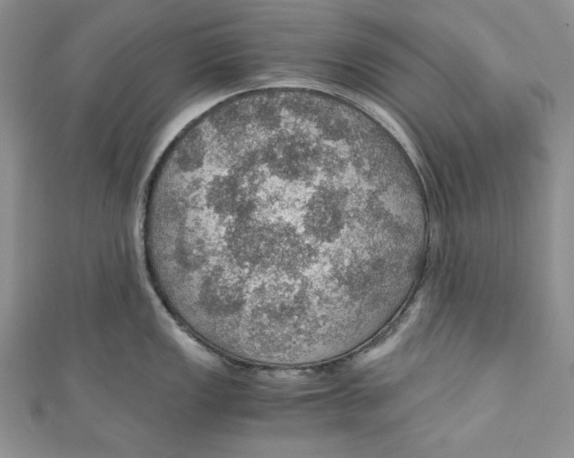 X0000110891149200907091348