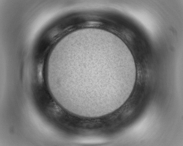 X0000110891150200907091348