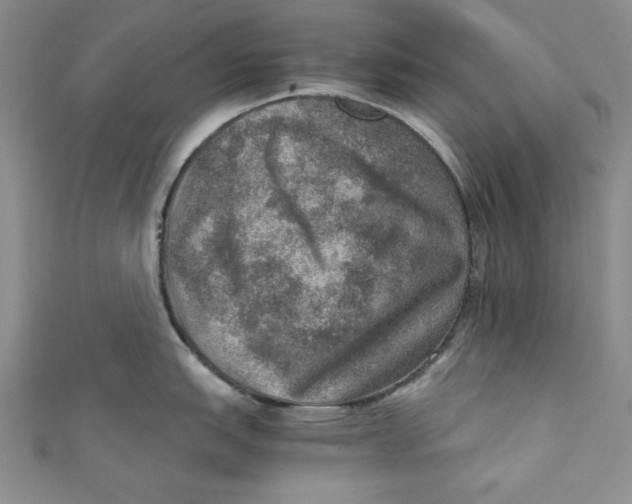 X0000110891151200907091348